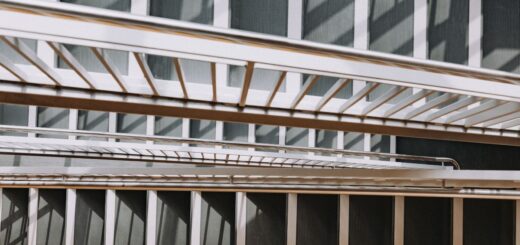 Michigan State University - feature image