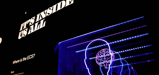 How to Become a Sports Psychologist?