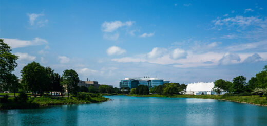 school offering human resource management degrees in Illinois