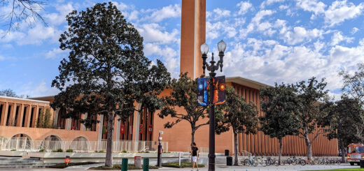 schools with social media marketing degree programs